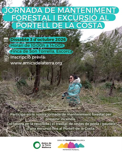 Voluntară care mută resturi de toaletare la Son Torrella, cu versantul montan în fundal