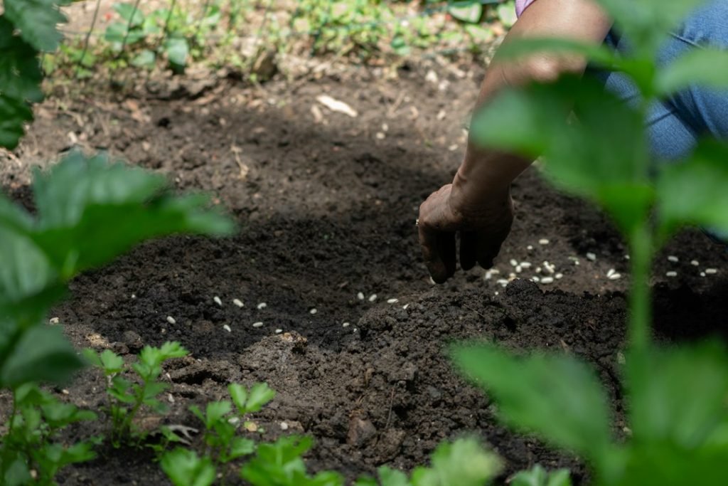 Persoană lucrând pământul într-o grădină, imagine de arhivă care nu reprezintă acest atelier