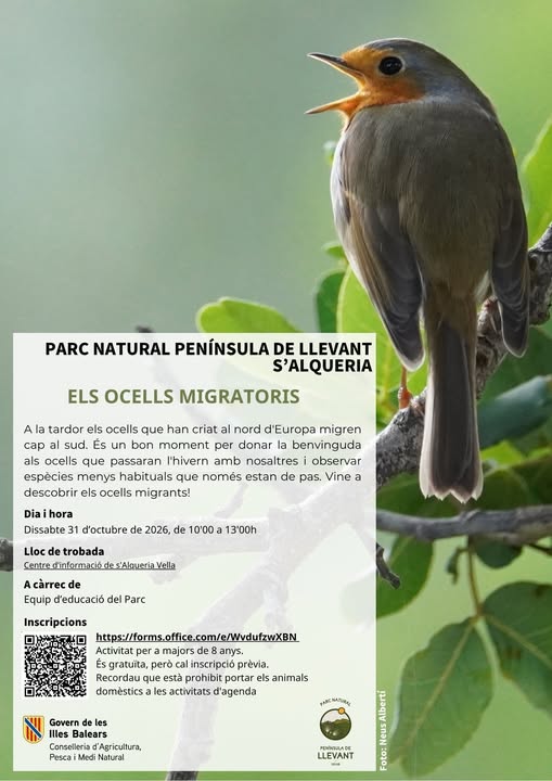 Măcăleandru pe afișul activității Els ocells migradors din Parc Natural de la Península de Llevant